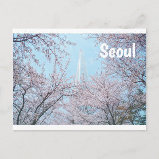 Seoul Cherry Blossom Postcard