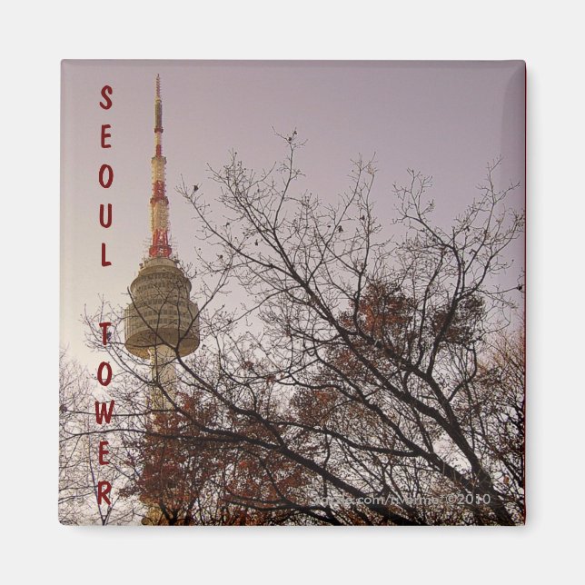 Seoul Tower/ Namsan Park, Seoul, South Korea Magnet (Front)