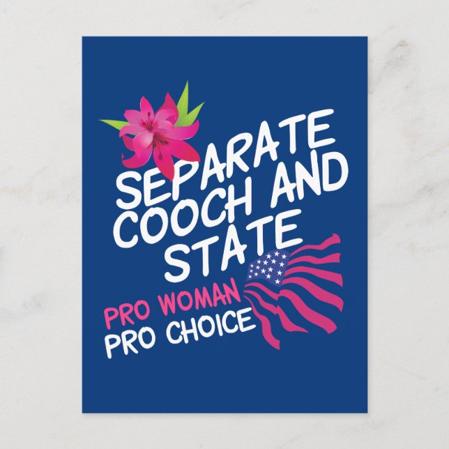 Separate Cooch and State Funny Pro Choice Postcard (Front)