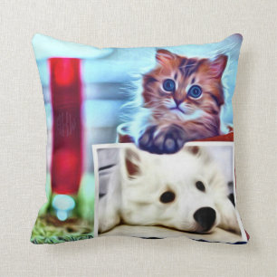 Separate Differences Cushion