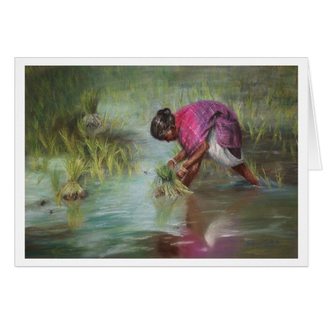 Separating the Rice Bundles (Front Horizontal)