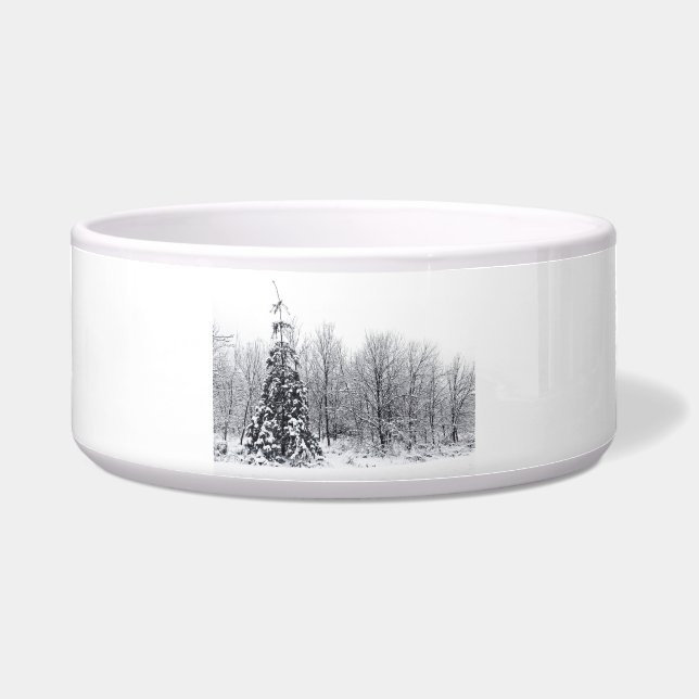 separation with certainty (Front)