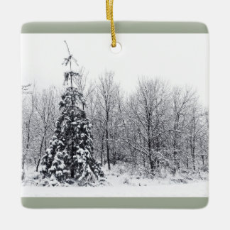 separation with certainty ceramic tree decoration