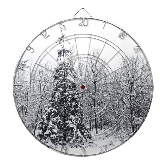 separation with certainty dartboard (Front)