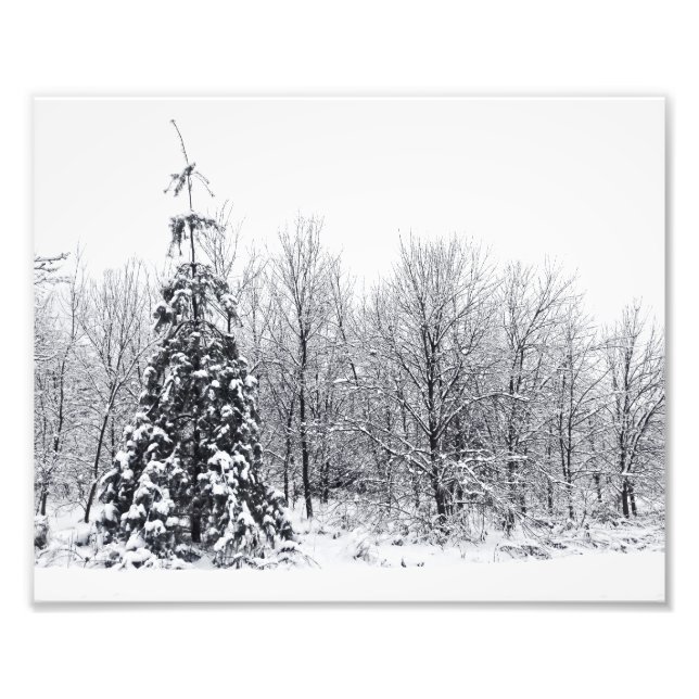 separation with certainty photo print (Front)