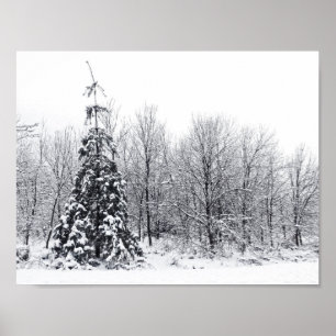 separation with certainty poster