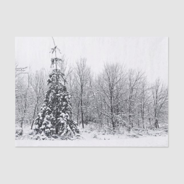 separation with certainty tissue paper (Front)