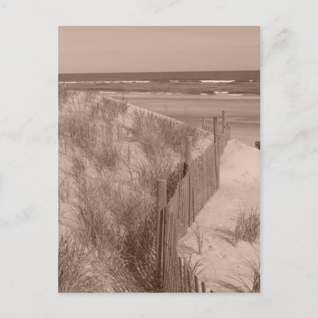 Sepia Beach Scene Postcard (Front)