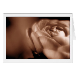 Sepia Begonia 2