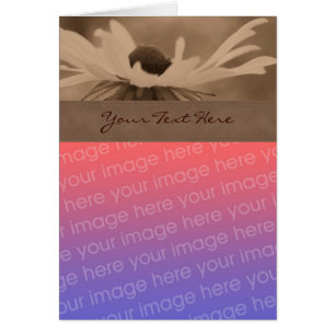 Sepia Black Eyed Susan Flower Photo Card