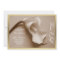 sepia calla lily wedding invitation gilt edge