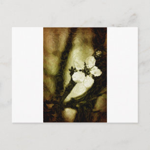 Sepia cherry blossom postcard