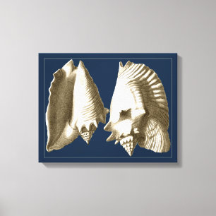 Sepia Conch Seashells Canvas Print