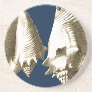 Sepia Conch Seashells Coaster
