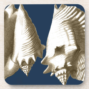 Sepia Conch Seashells Coaster