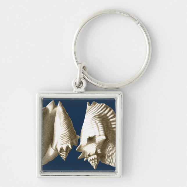 Sepia Conch Seashells Key Ring (Front)