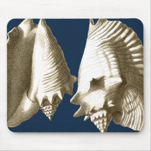 Sepia Conch Seashells Mouse Mat