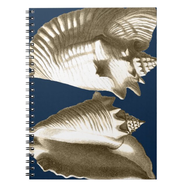 Sepia Conch Seashells Notebook (Front)