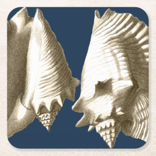 Sepia Conch Seashells Square Paper Coaster