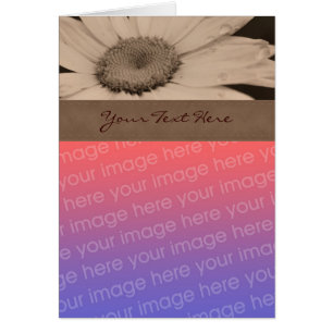 Sepia Daisy Flower Photo Card