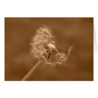 Sepia Dandelion Card (Blank)