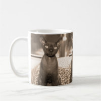 Sepia Devon Rex Cat mug.