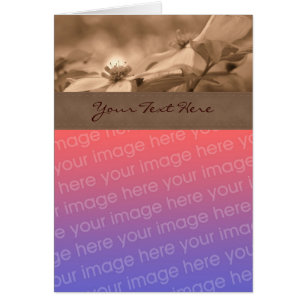 Sepia Dogwood Flower Photo Card