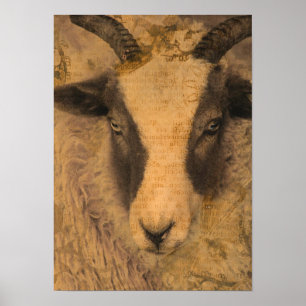 Sepia Ewe  Poster