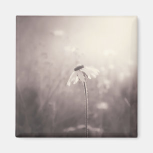 Sepia Field of Wildflowers in the Sunset Magnet
