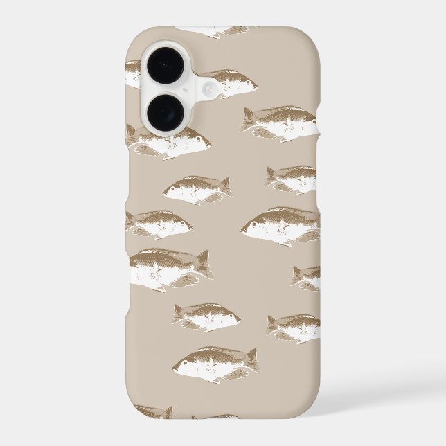 Sepia fish (Back)