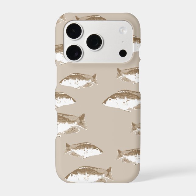 Sepia fish (Back)