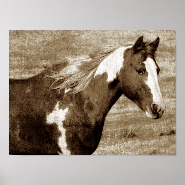 Sepia Flashy Mare Poster (Front)