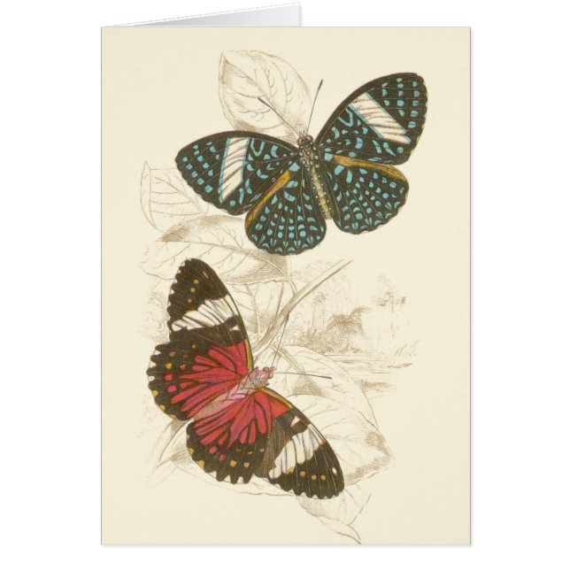 Sepia Leaves with Colourful Butterflies (Front)