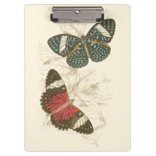 Sepia Leaves with Colourful Butterflies Clipboard