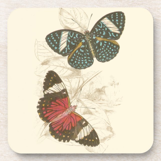 Sepia Leaves with Colourful Butterflies Coaster (Front)