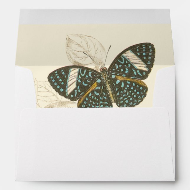 Sepia Leaves with Colourful Butterflies Envelopes (Back (Bottom))
