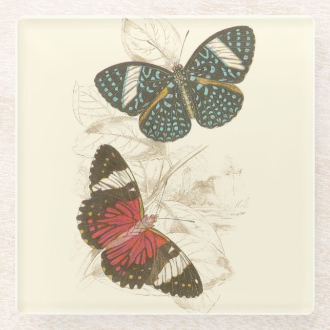 Sepia Leaves with Colourful Butterflies Glass Coaster (Front)