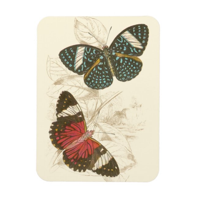Sepia Leaves with Colourful Butterflies Magnet (Vertical)