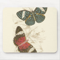 Sepia Leaves with Colourful Butterflies