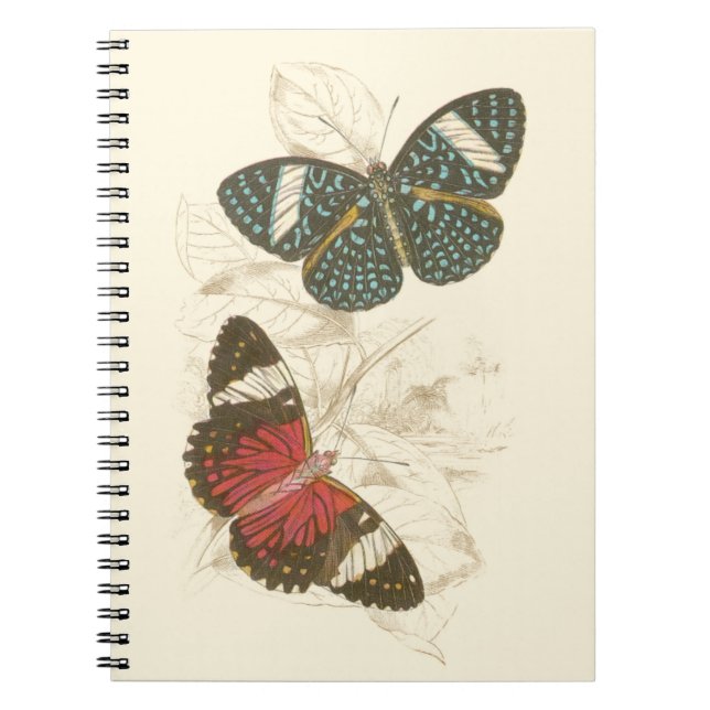 Sepia Leaves with Colourful Butterflies Notebook (Front)