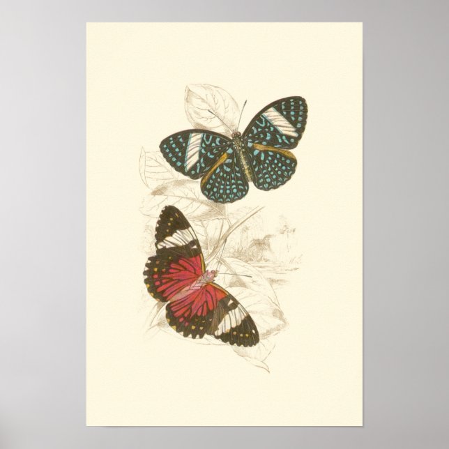 Sepia Leaves with Colourful Butterflies Poster (Front)