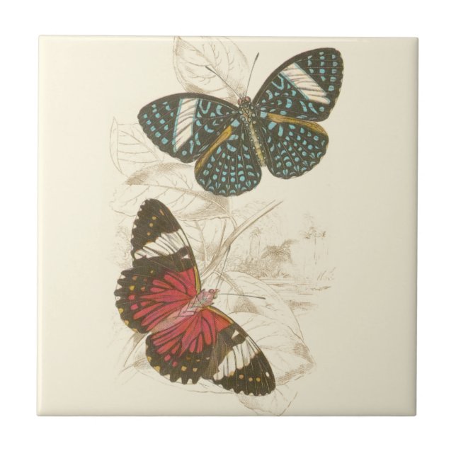 Sepia Leaves with Colourful Butterflies Tile (Front)