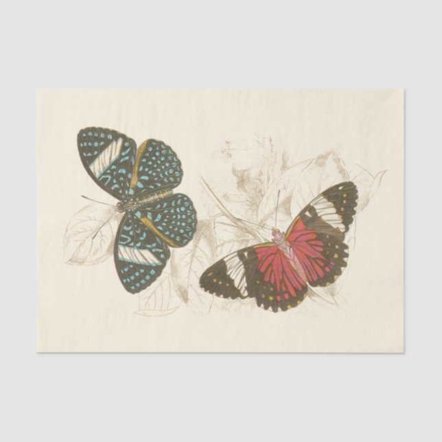 Sepia Leaves with Colourful Butterflies Tissue Paper (Front)