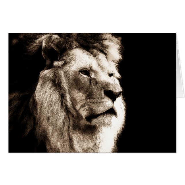 Sepia Lion (Front Horizontal)