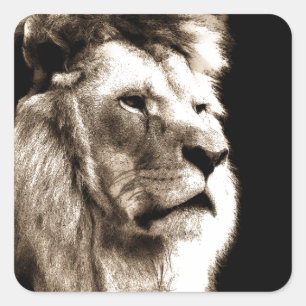 Sepia Lion Square Sticker