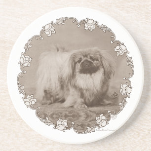 Sepia Pekingese Portrait Coaster