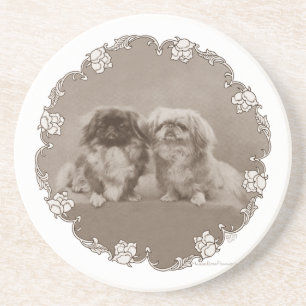 Sepia Pekingese Portrait Coaster