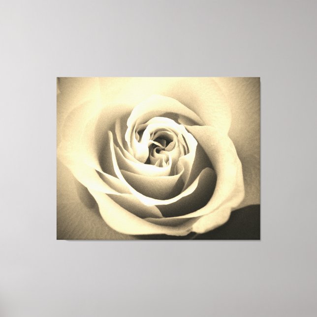 Sepia Rose Canvas Print (Front)