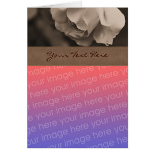 Sepia Rose Floral Photo Card