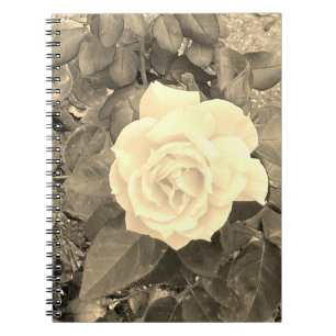 Sepia Rose Notebook 